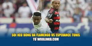 Soi Kèo Bóng Đá Flamengo Vs Esperance Tunis Từ aidelcloud.in.net